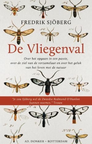 De vliegen val