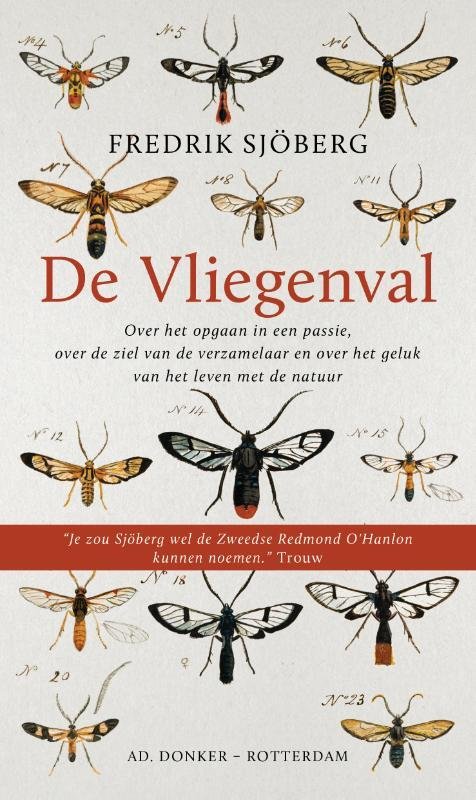 De vliegen val